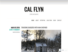 Tablet Screenshot of calflyn.com